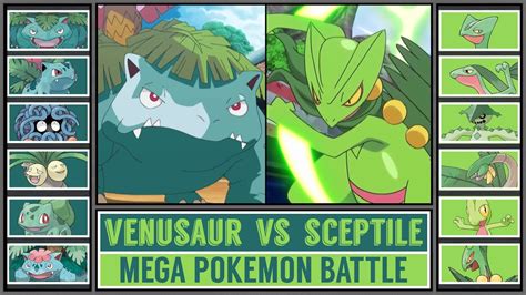 sceptile vs venusaur|bulbasaur vs chikorita.